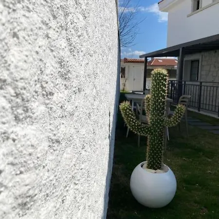 Olea Tas Begonvile B1 Konagi אלאקאטי